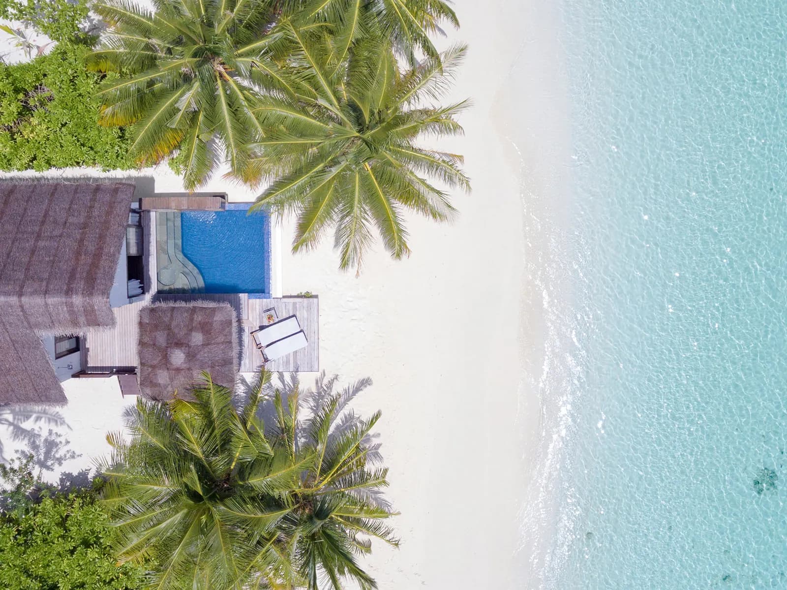 Bandos Resort Maldives thumbnail 22