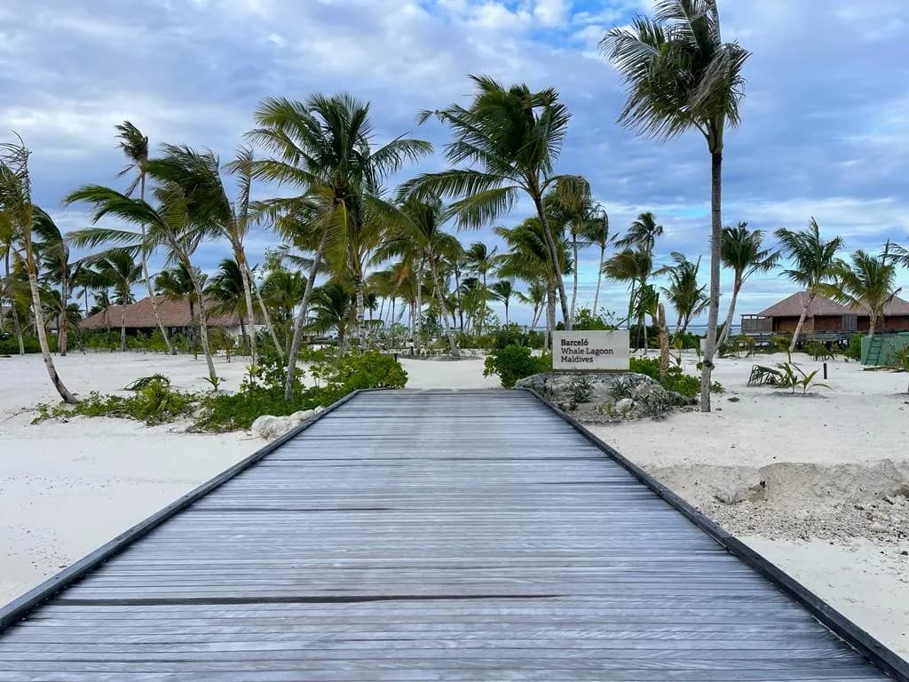 Barcelo Whale Lagoon, Maldives thumbnail 29