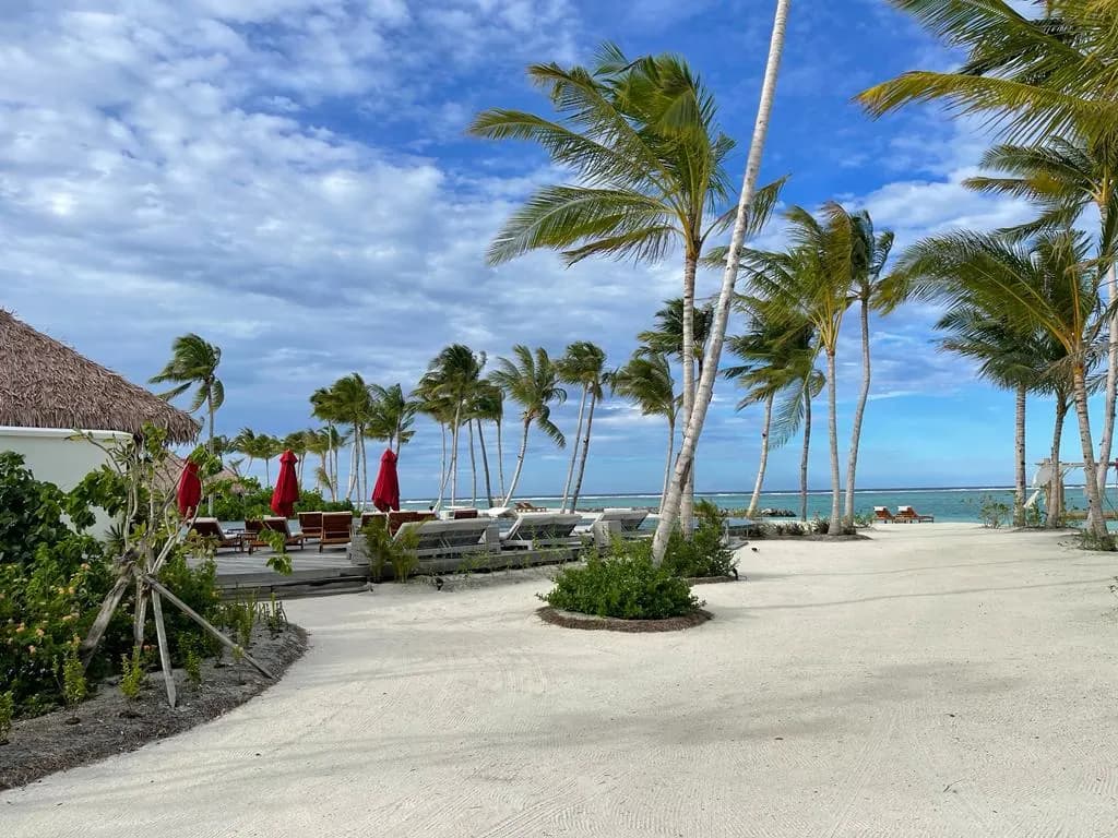 Barcelo Whale Lagoon, Maldives thumbnail 48