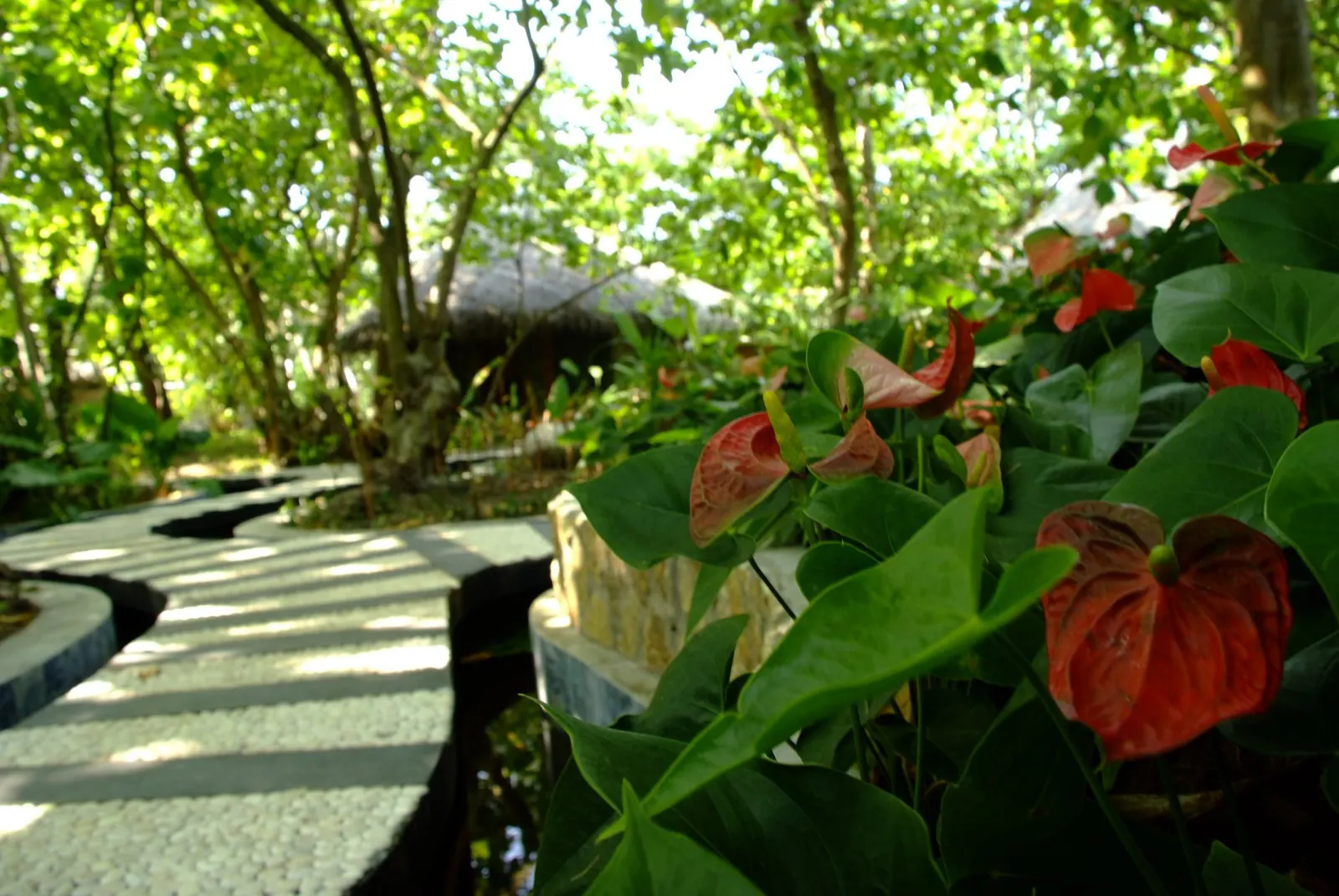 Beach House Hilton, Maldives thumbnail 33