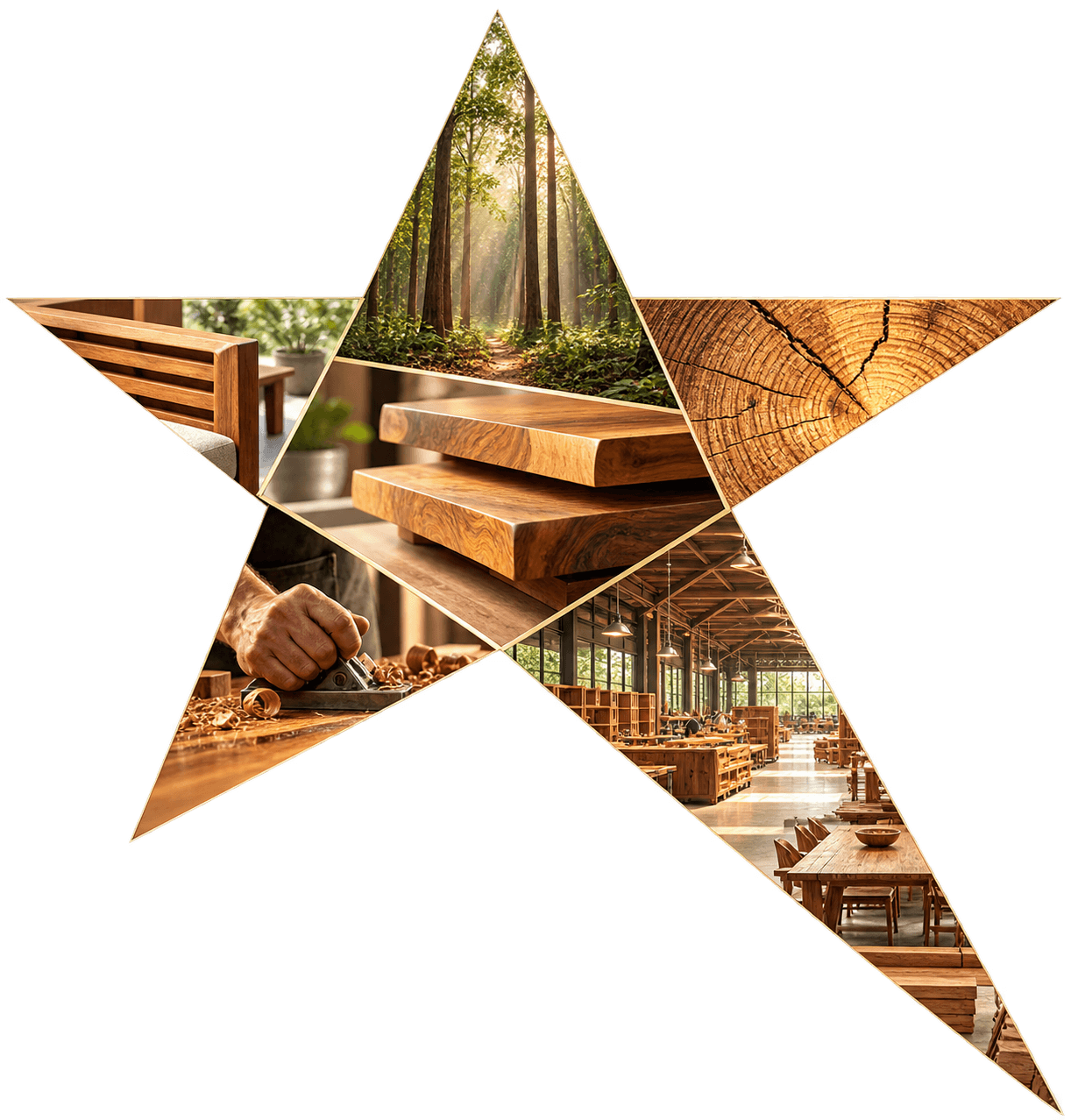 Star-shaped collage of plantation forestry, wood craftsmanship, furniture and Starwood production