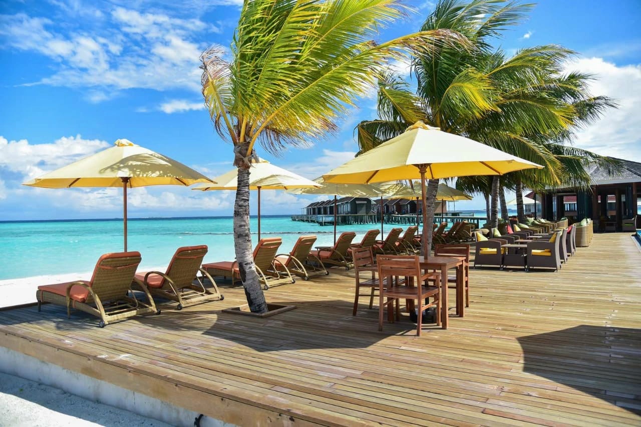 Teak sun loungers and outdoor furniture on a tropical resort deck