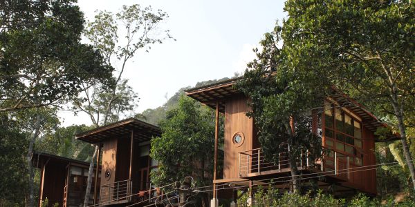 Cardammom Club Tekkady, India